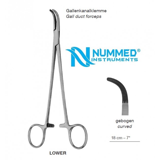 Lower Forceps,Curved, 18 cm